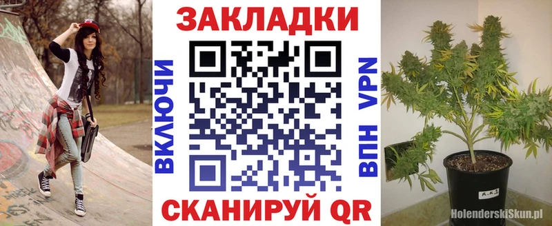 Где купить наркоту Курчатов Кокаин  Каннабис  КЕТАМИН  ГАШИШ  Меф  АМФЕТАМИН 