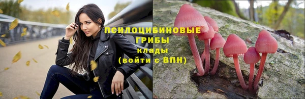круглые Абаза